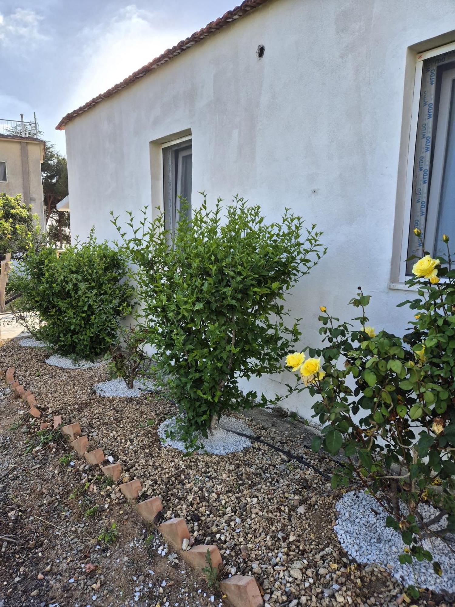 בלבדרה מריטימו Villa Elvira Country House מראה חיצוני תמונה